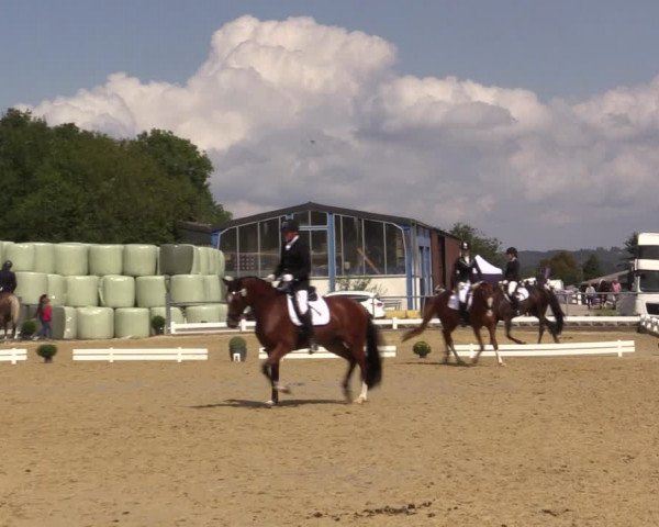 Reitturnier Bühren-Breckerfeld 2018