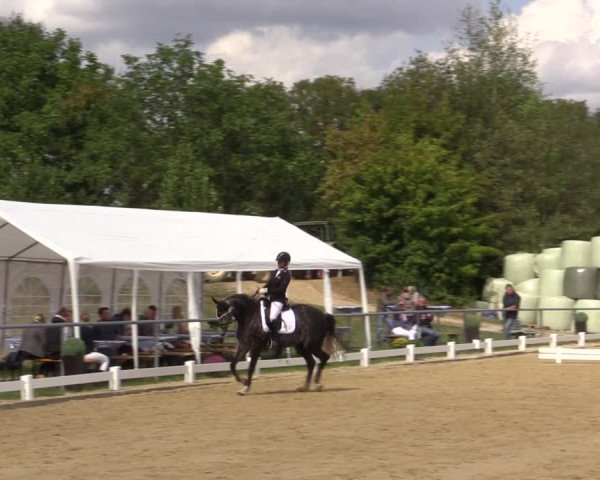 Reitturnier Bühren-Breckerfeld 2018