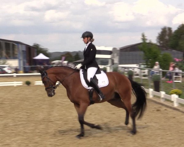 Reitturnier Bühren-Breckerfeld 2018