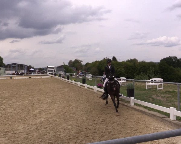 Reitturnier Bühren-Breckerfeld 2018