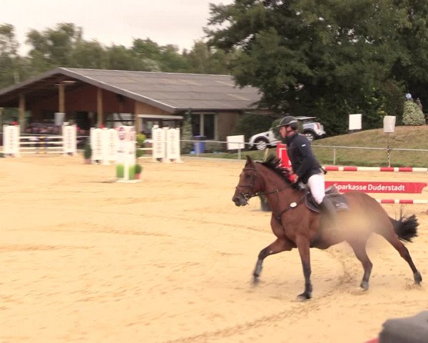 Reitturnier Duderstadt 2018