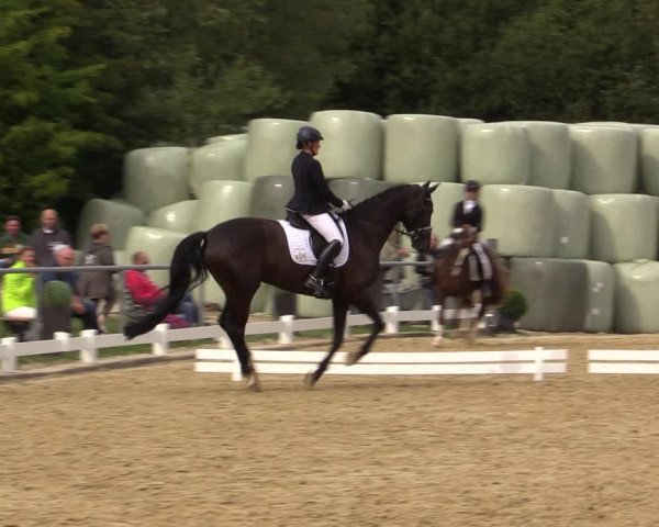 Reitturnier Bühren-Breckerfeld 2018