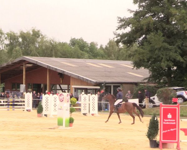 Reitturnier Duderstadt 2018