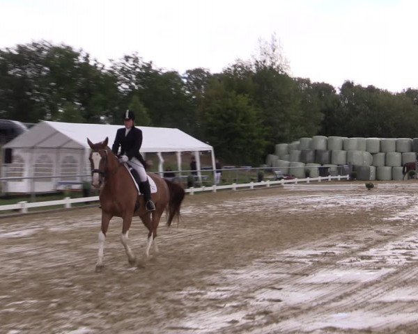 Reitturnier Bühren-Breckerfeld 2018
