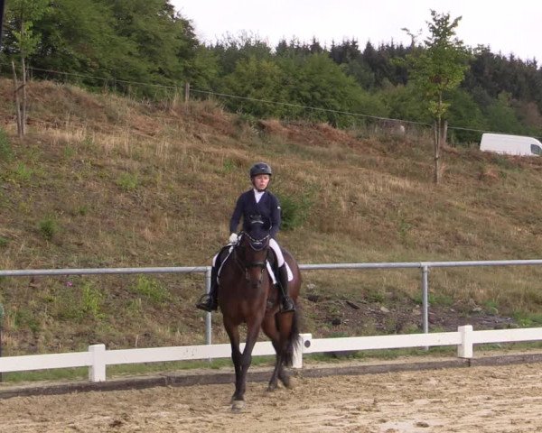 Reitturnier Bühren-Breckerfeld 2018
