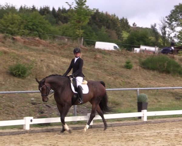 Reitturnier Bühren-Breckerfeld 2018