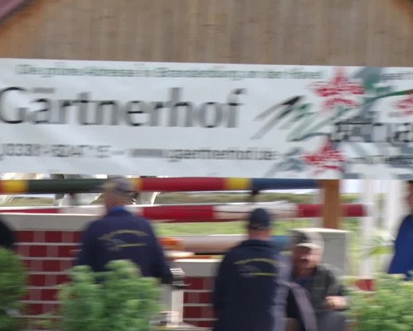 Reitturnier Reckahn 2018