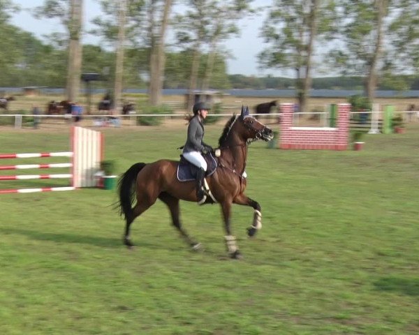 Reitturnier Reckahn 2018