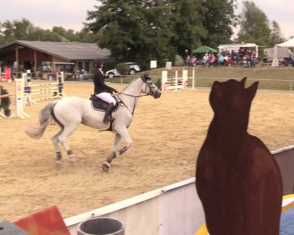 Reitturnier Duderstadt 2018