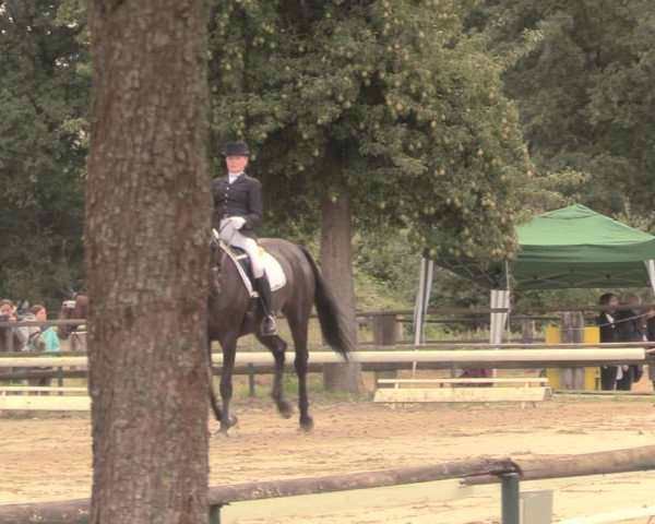 Reitturnier Recklinghausen 2018