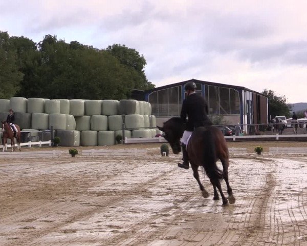 Reitturnier Bühren-Breckerfeld 2018