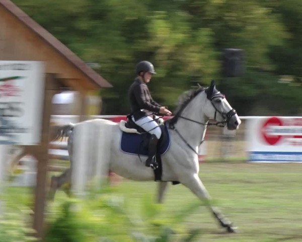 Reitturnier Reckahn 2018