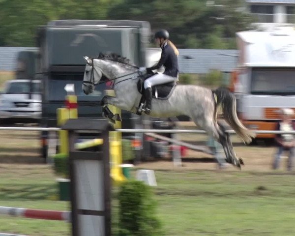 Reitturnier Reckahn 2018