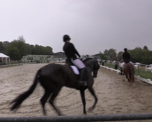 Reitturnier Bühren-Breckerfeld 2018