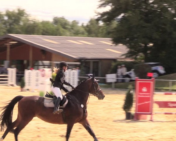 Reitturnier Duderstadt 2018