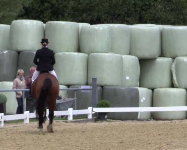 Reitturnier Bühren-Breckerfeld 2018