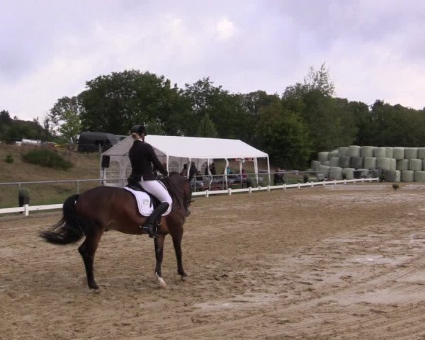 Reitturnier Bühren-Breckerfeld 2018