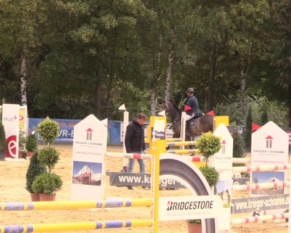 Reitturnier Duderstadt 2018