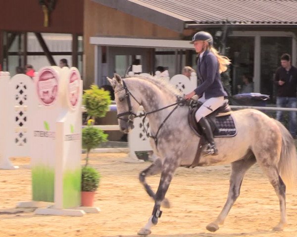 Reitturnier Duderstadt 2018