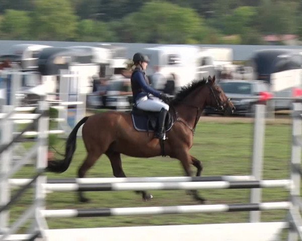 Reitturnier Reckahn 2018