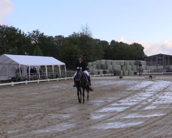Reitturnier Bühren-Breckerfeld 2018