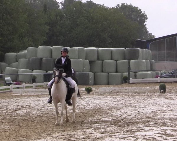 Reitturnier Bühren-Breckerfeld 2018