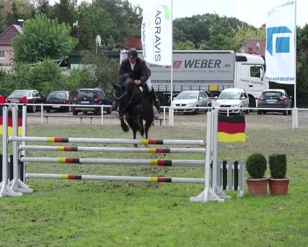Reitturnier Reckahn 2018
