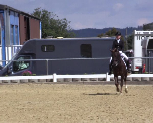 Reitturnier Bühren-Breckerfeld 2018
