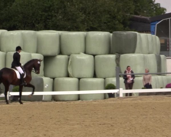 Reitturnier Bühren-Breckerfeld 2018
