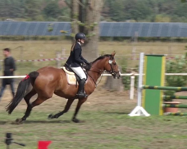 Reitturnier Reckahn 2018