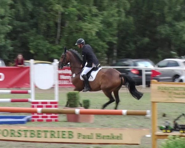 Reitturnier Reckahn 2018