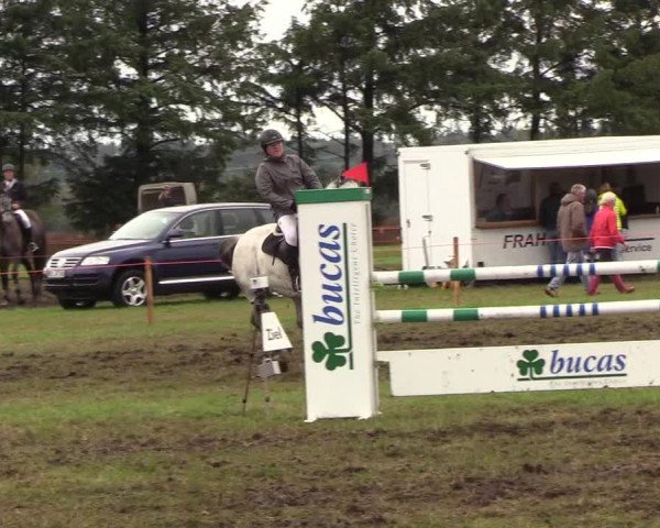 Reitturnier Löwenstedt 2018