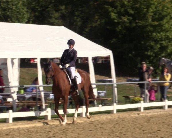 Reitturnier Bühren-Breckerfeld 2018