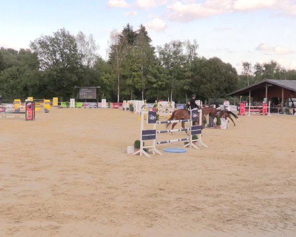 Reitturnier Duderstadt 2018