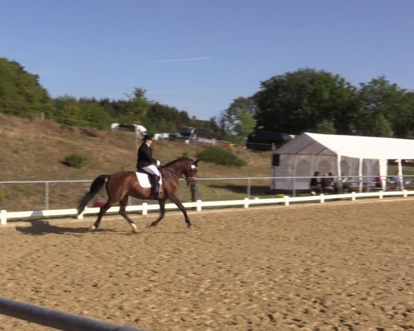 Reitturnier Bühren-Breckerfeld 2018