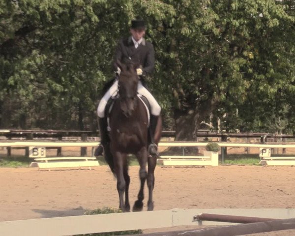 Reitturnier Recklinghausen 2018