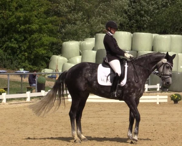 Reitturnier Bühren-Breckerfeld 2018