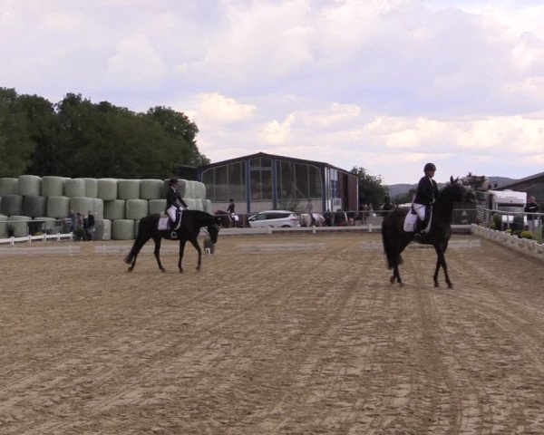 Reitturnier Bühren-Breckerfeld 2018