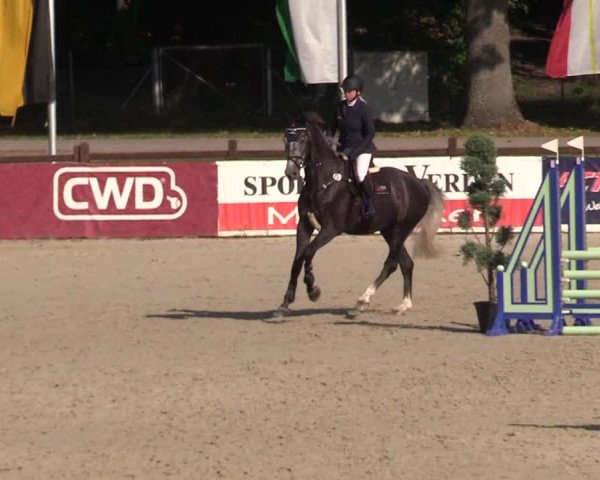Reitturnier Westergellersen 2021