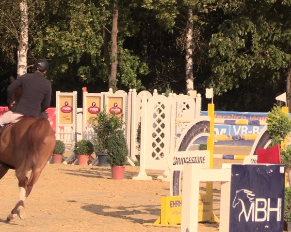 Reitturnier Duderstadt 2018