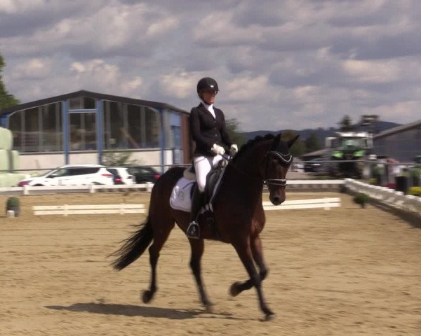 Reitturnier Bühren-Breckerfeld 2018