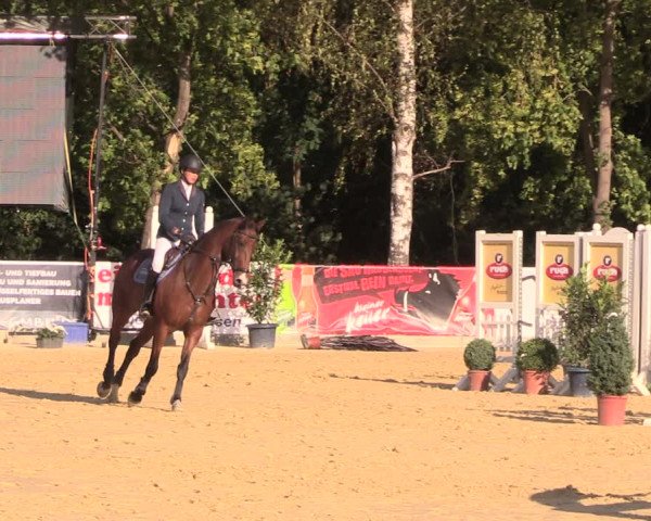 Reitturnier Duderstadt 2018