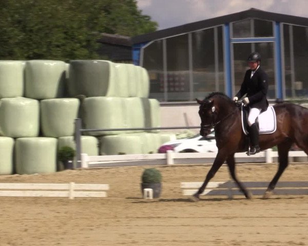 Reitturnier Bühren-Breckerfeld 2018