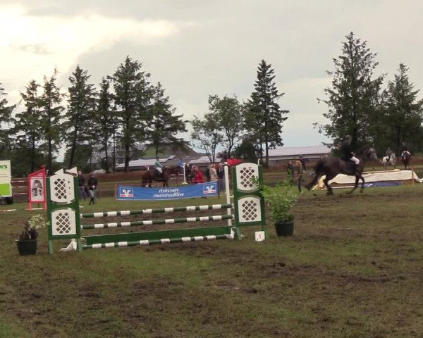 Reitturnier Löwenstedt 2018