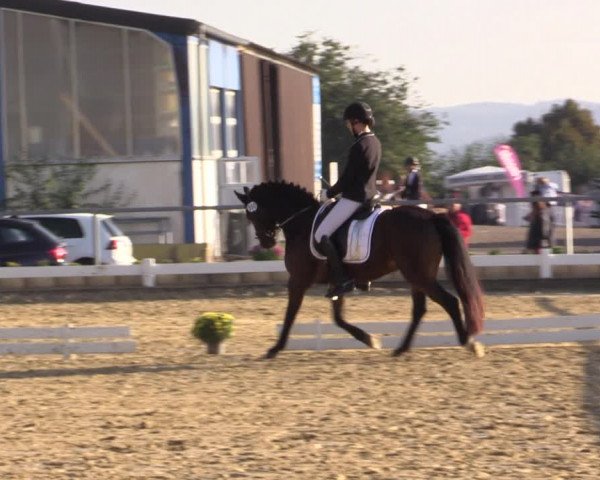 Reitturnier Bühren-Breckerfeld 2018