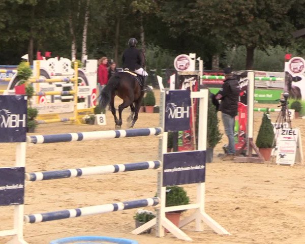 Reitturnier Duderstadt 2018