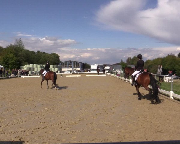 Reitturnier Bühren-Breckerfeld 2018