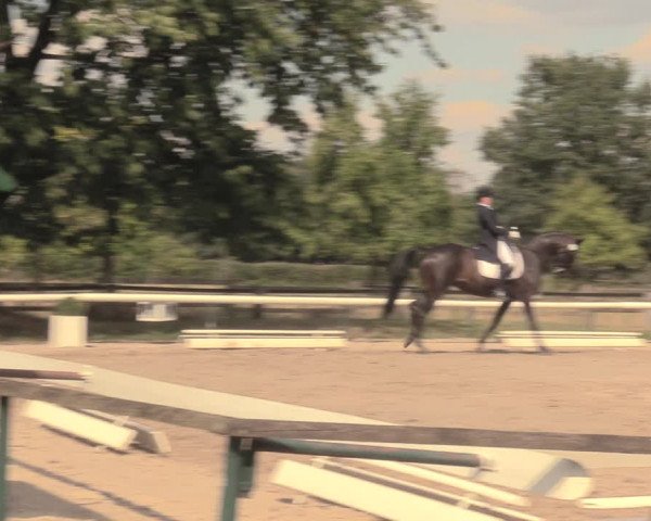 Reitturnier Recklinghausen 2018