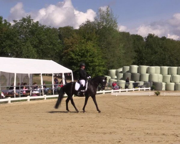 Reitturnier Bühren-Breckerfeld 2018