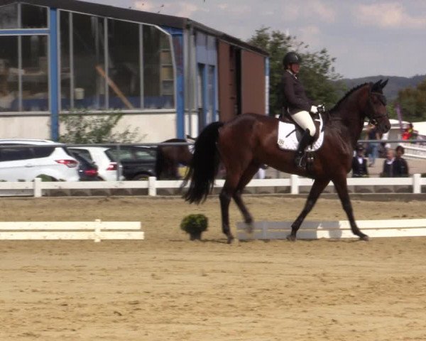 Reitturnier Bühren-Breckerfeld 2018